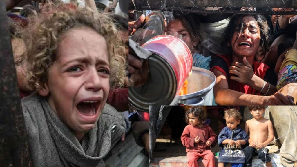 ফিলিস্তিন সর্বশেষ নিউজ | Latest News From Palestine 6 ফিলিস্তিন থেকে ভাইরাল সর্বশেষ নিউজ!