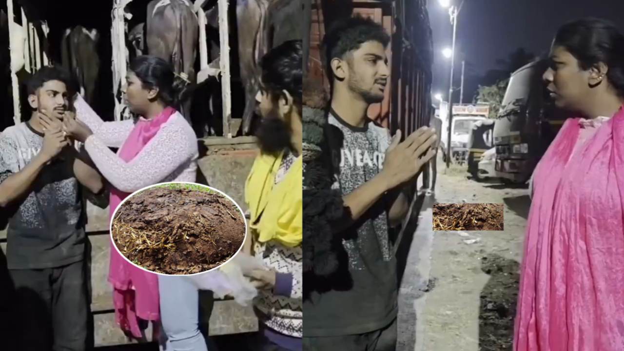 ভারতের পুনেতে মুসলিম যুবককে জোর করে গোবর খাওয়ানোর অভিযোগ